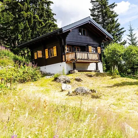 Apartment Eichhornli, Golmenegg Riederalp