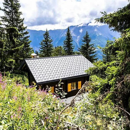 Apartamento Eichhornli, Golmenegg Riederalp